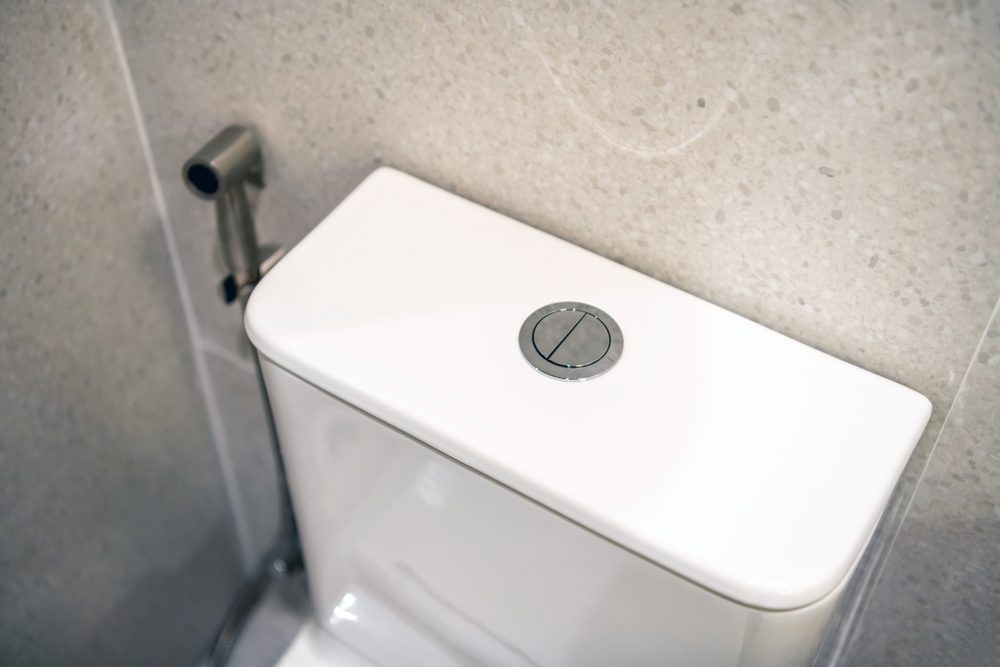 How Does A Toilet Flush Work? Learn About Its Mechanisms